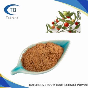 Butcher's Broom Root Extract Powder