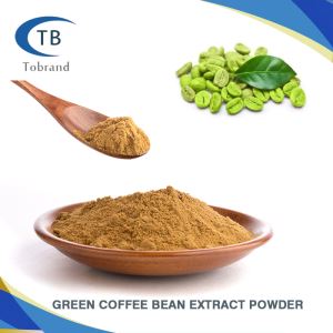 Natural Green Coffee Bean Extract Powder