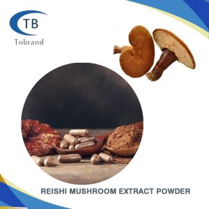 Organic Reishi Mushroom Extract Powder