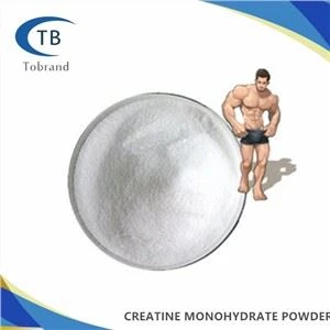 Pure Creatine Monohydrate Powder 6020-87-7